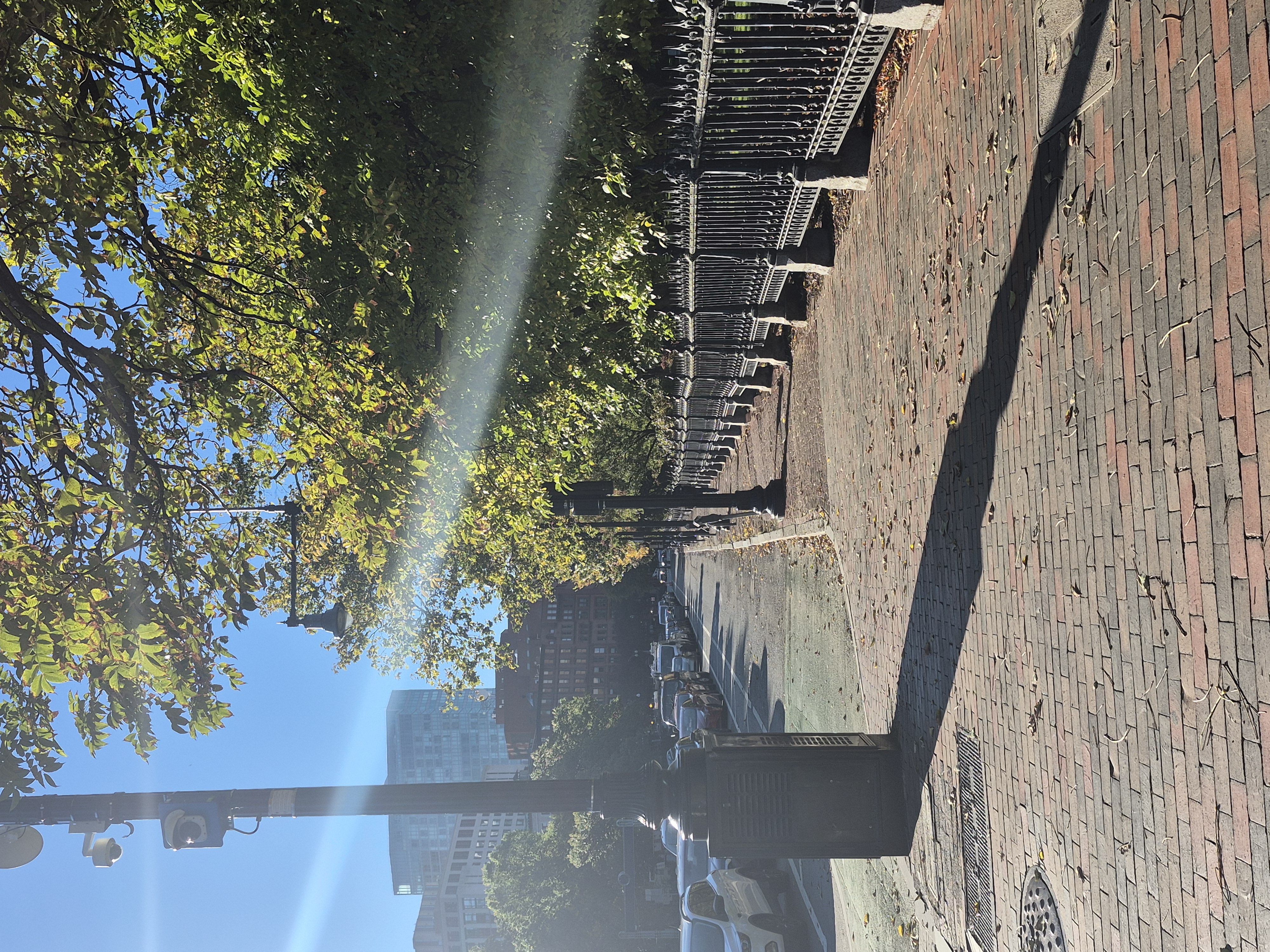 Les allées de Boston Common