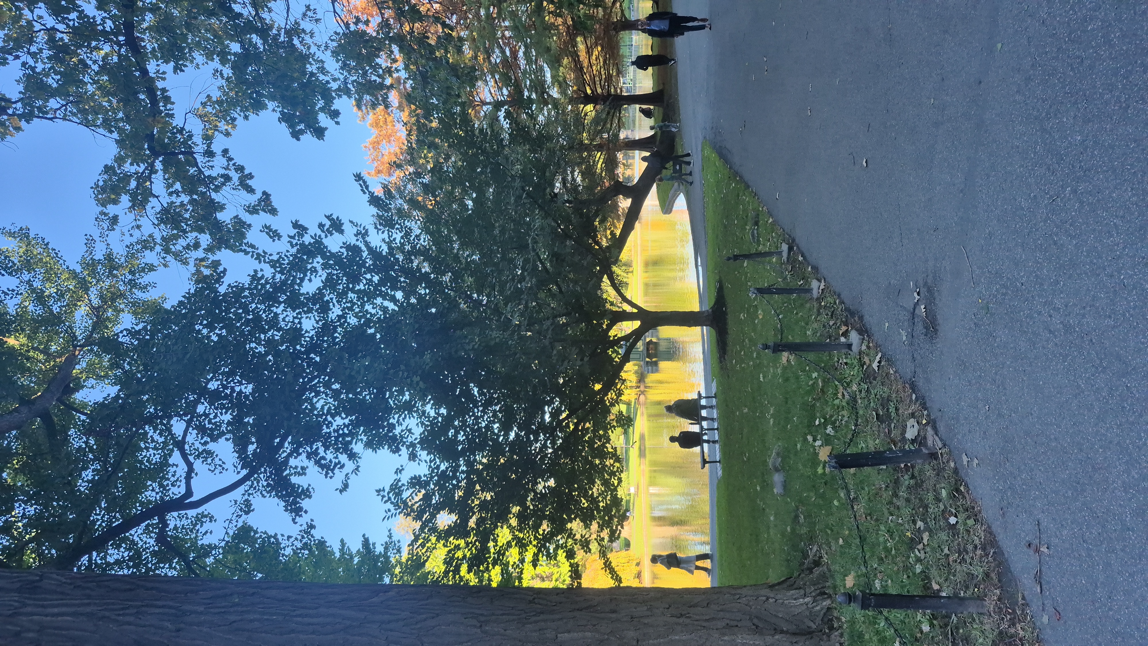 Boston Common